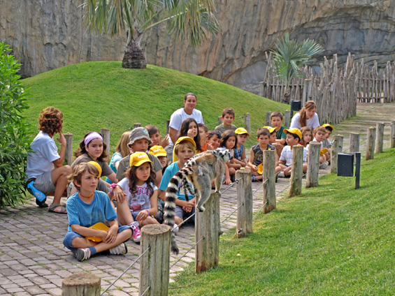 Bioparc Valencia abre el plazo de inscripción de su escuela de vacaciones