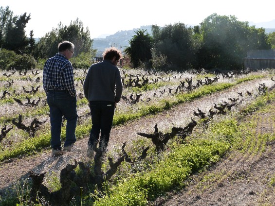 Fundación Global Nature colabora con “BIOMoscatell” de El Poble Nou de Benitatxell, en Alicante, para reducir las emisiones de gases de efecto invernadero a la atmósfera