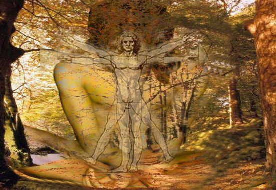 Habitat Cosmos presenta su nuevo blog 'Feng Shui: Space & Consciousness'
