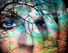Habitat Cosmos presenta su nuevo blog 'Feng Shui: Space & Consciousness'