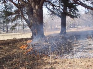 El incendio de La Vall d´Uixó está estabilizado y sin llama
