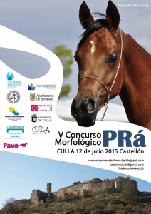 Culla reunirá a un centenar de caballos en su novena concentración