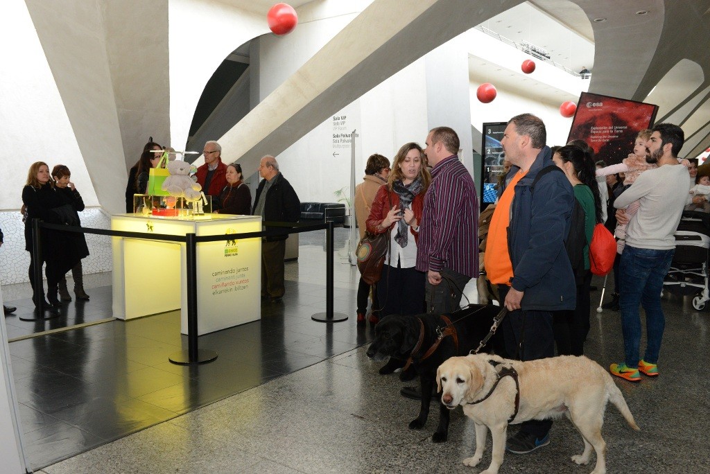El Museu de les Ciències acoge la exposición '25 años caminando juntos' en la Comunitat Valenciana de la ONCE