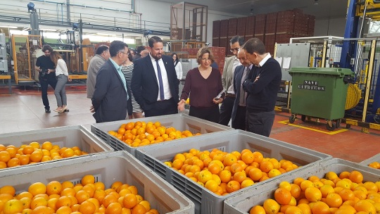 Los envíos agroalimentarios de la Comunitat Valenciana entre enero y febrero de 2016 supusieron 1.118 millones de euros y alcanzaron, una vez más, su máximo histórico con respecto al mismo periodo de toda la serie estadística (desde 1995).