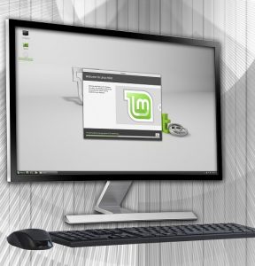 Entorno de Escritorio (Desktop Environment), Diccionario GNU Linux