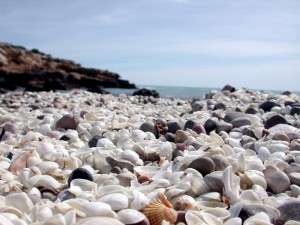 El gasto turístico aumenta en la Comunitat Valenciana un 5,2% en febrero hasta los 236 millones de euros