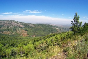 EPOCaminaCastellón, paseos llenos de vida