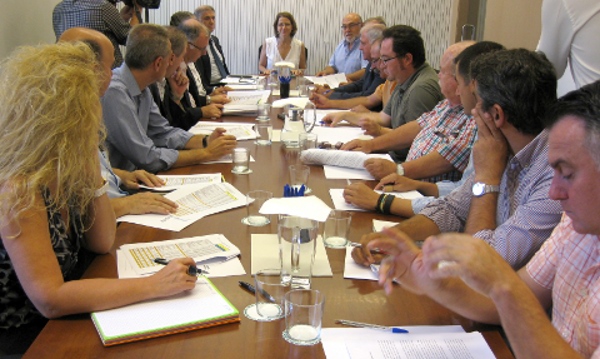 Las altas temperaturas reducen un 22,3% la cosecha de cítricos para la campaña 2015-2016