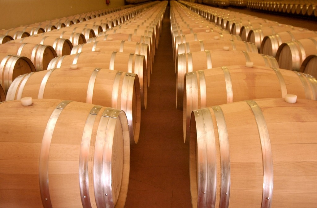 vitivinicultura cv
