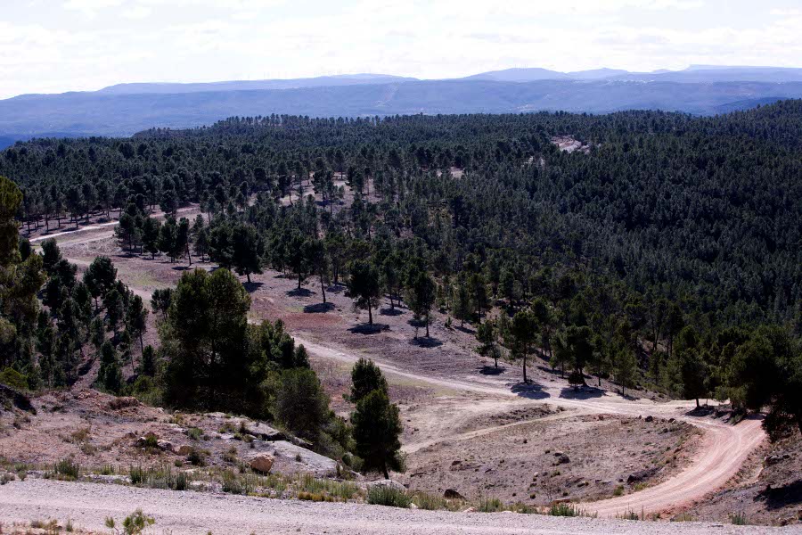 Alrededor de 700 profesionales participarán en el dispositivo de vigilancia forestal previsto por la Generalitat para Semana Santa y Pascua