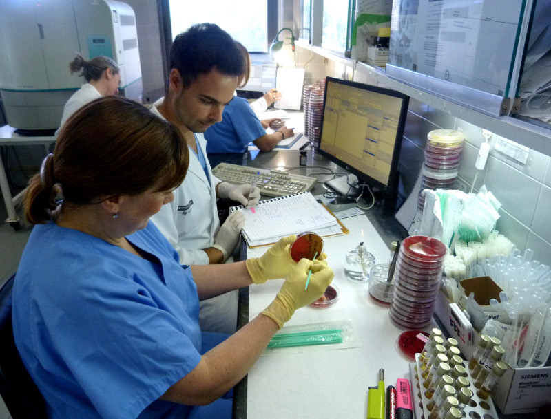 Microbiología del Hospital Sant Joan se consolida como servicio de referencia para Salud Pública en Alicante