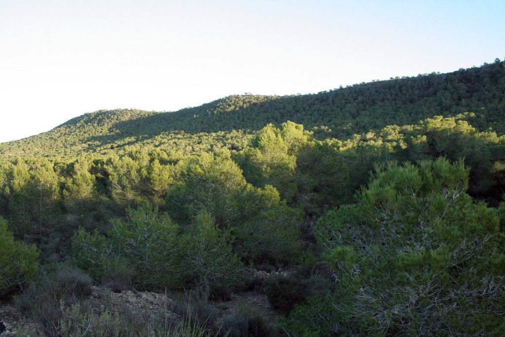 El Consell saca a exposición pública la declaración de Sierra Escalona como paisaje protegido