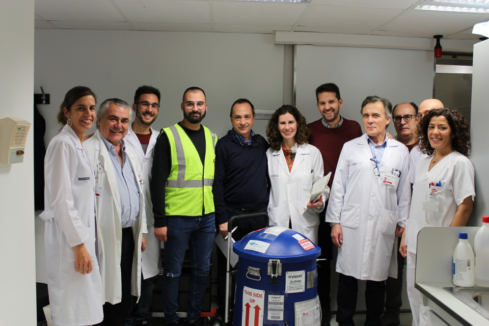 Sanidad aplica la innovadora terapia CAR-T contra la leucemia y linfoma al primer paciente en la Comunitat Valenciana