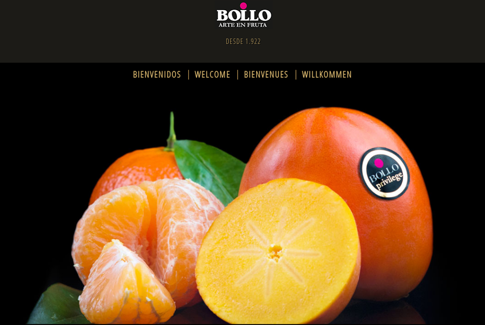 Bollo International Fruits, las naranjas que conquistan el mercado internacional