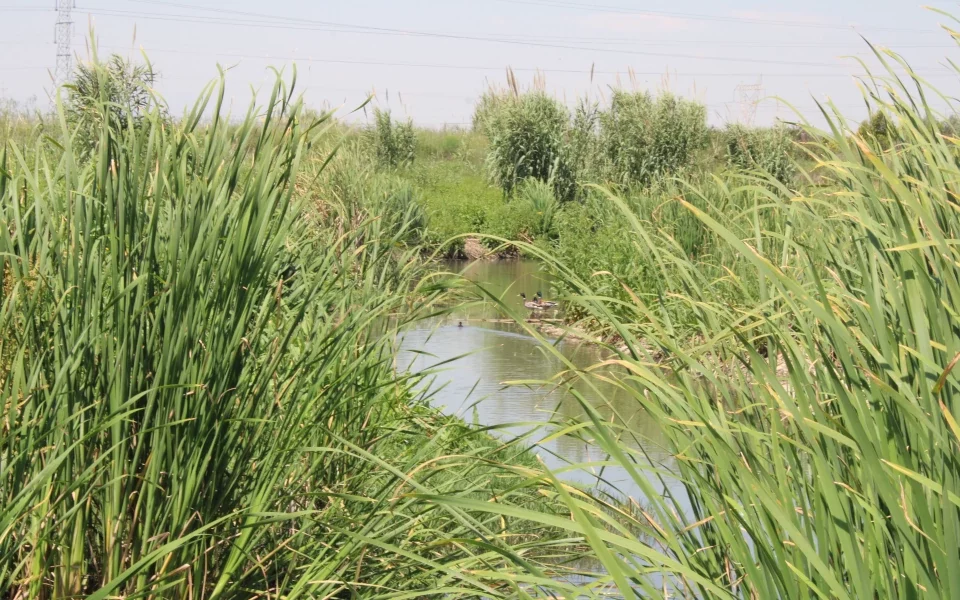 HEINEKEN España - Proyecto Albufera después