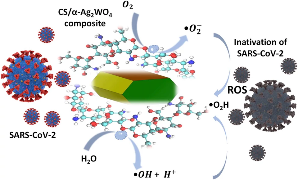 imatge semiconductors