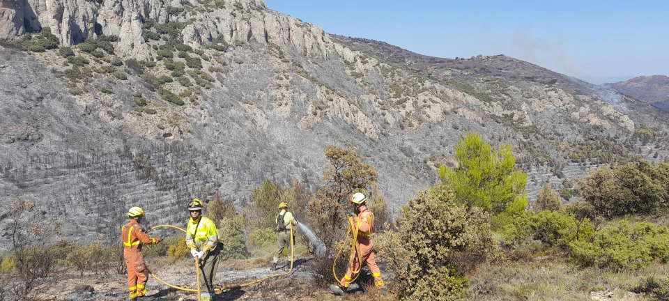 bomberos forestales