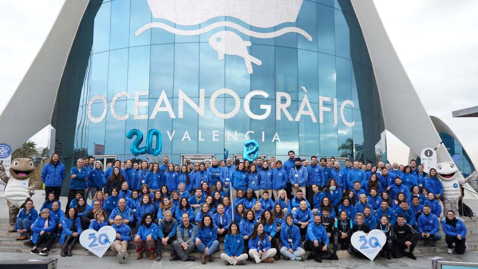 Plantilla del Oceanogràfic Valencia 2023