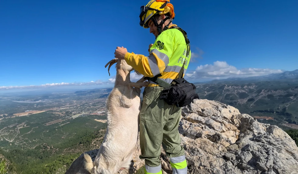 emergencias cv