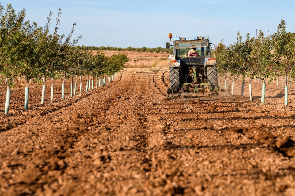 agricultura