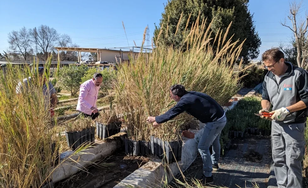 recogida de planta en el CIEF