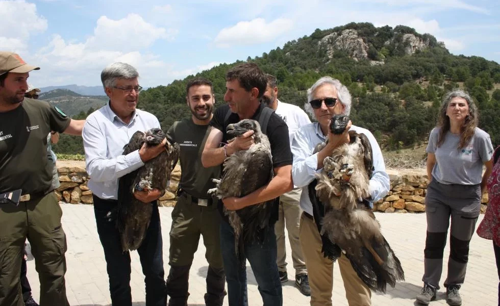 Mérida y alcaldes con aves