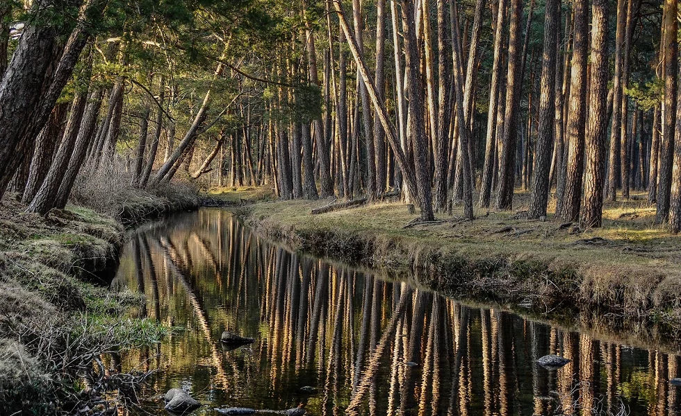 reconecta_fundacion_global_nature