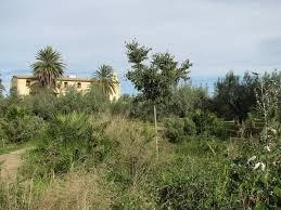 CEACV