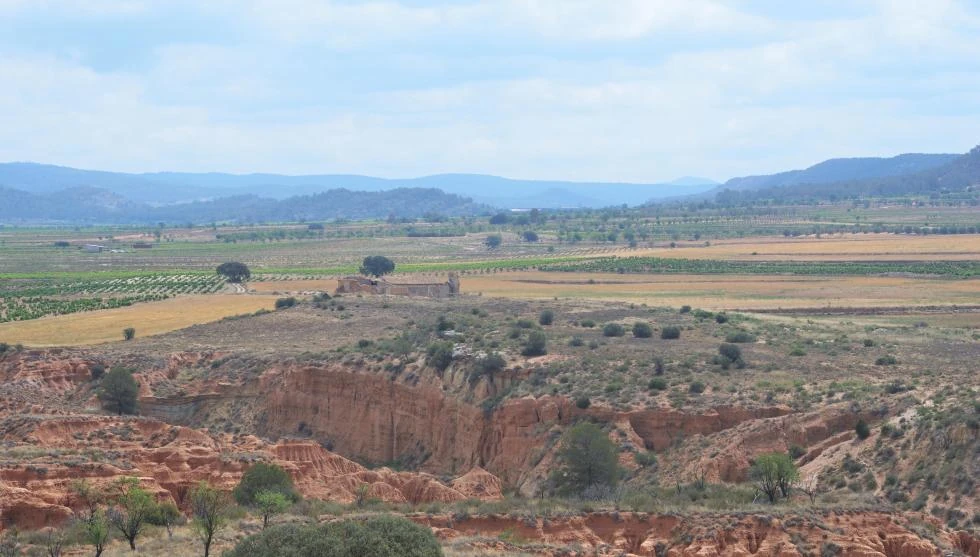 Paisaje_Los Morenos