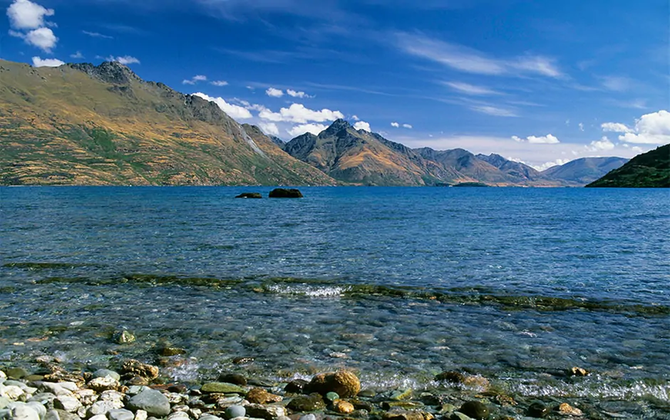 air-new-zealand